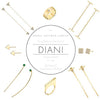 Trunk Show at Diani in Santa Barbara!